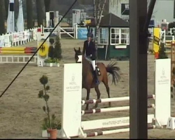 Reitturnier Werne-Lenklar 2012