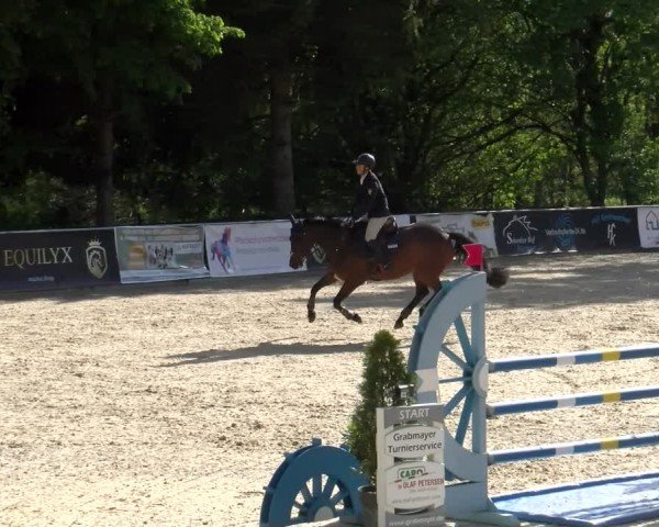 Reitturnier Karlsfeld/Obb. 2024