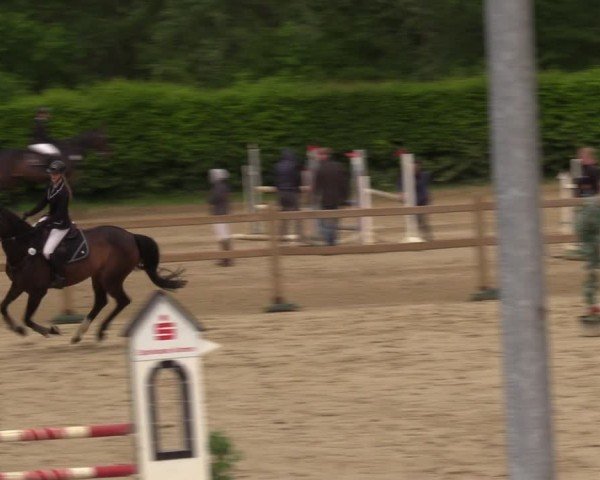 Reitturnier Kamen 2024