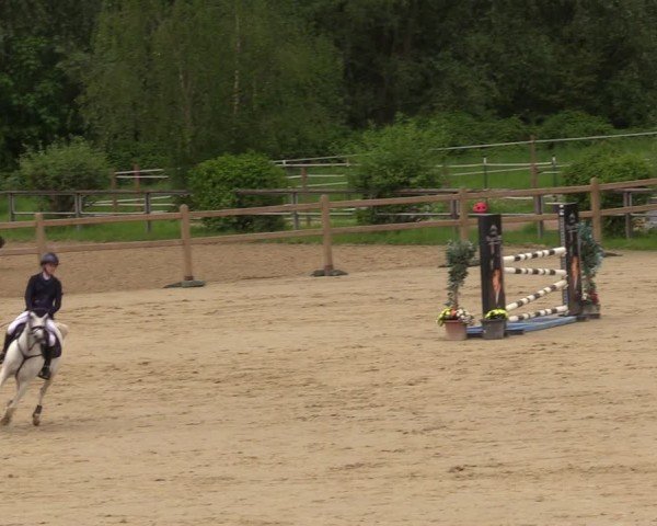 Reitturnier Kamen 2024