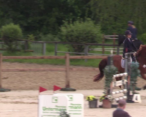 Reitturnier Kamen 2024