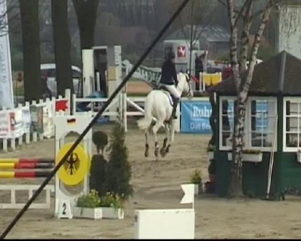 Werne-Lenklarer Reitertage vom 13.-15.+17.-22.04.2012 auf der Reitsportanlage Gripshöver