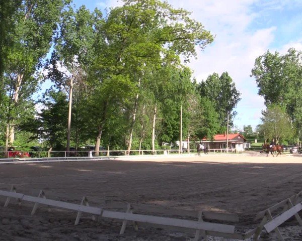 Reitturnier Derenburg 2024