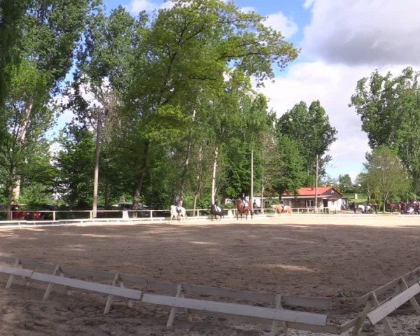 Reitturnier Derenburg 2024