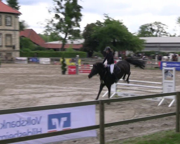 Reitturnier Hildesheim-Steuerwald 2024