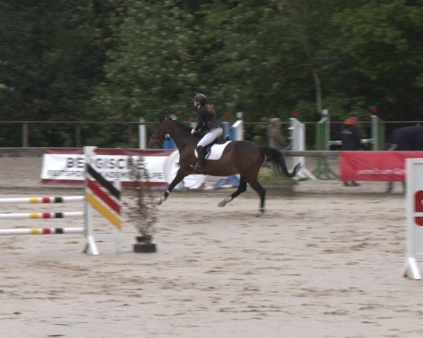 Reitturnier Wuppertal-Gelpe 2024