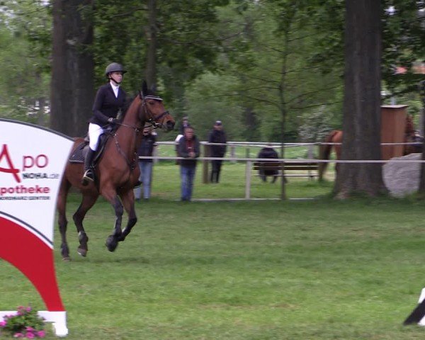 Reitturnier Derenburg 2024