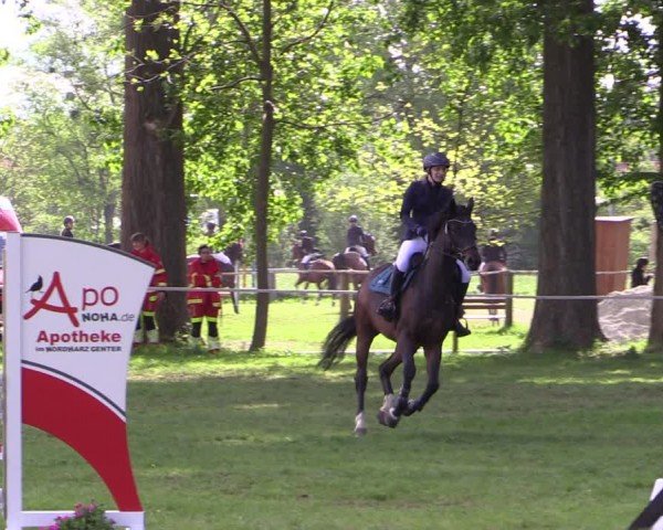 Reitturnier Derenburg 2024