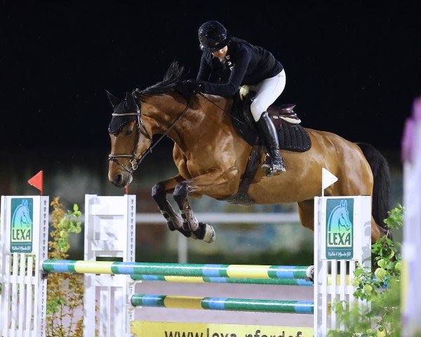 Springpferd Cassandre des Pres (Schweizer Warmblut, 2013, von Cassirado)