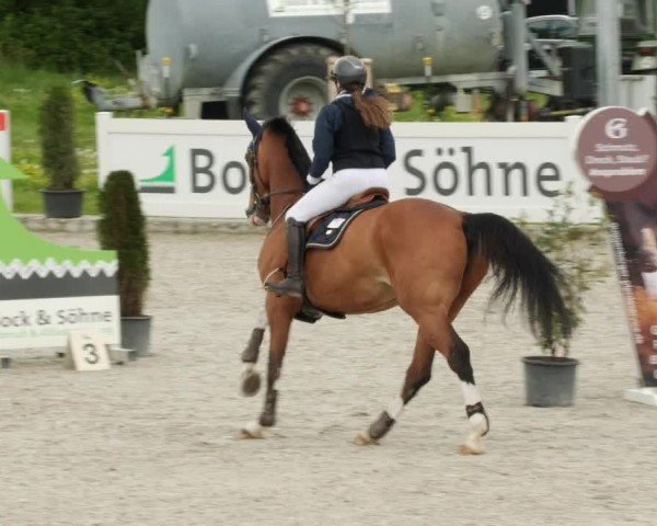 Reitturnier Babenhausen/Schw. 2024