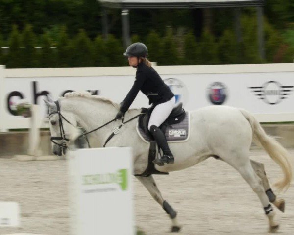 Reitturnier Babenhausen/Schw. 2024