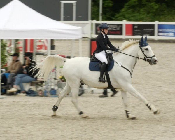 Reitturnier Babenhausen/Schw. 2024