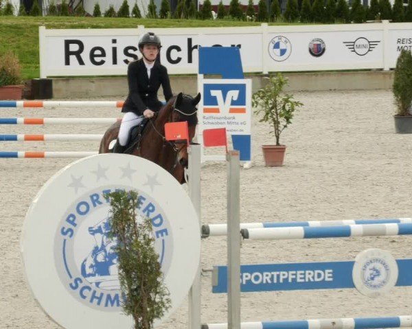 Reitturnier Babenhausen/Schw. 2024