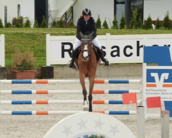 Reitturnier Babenhausen/Schw. 2024