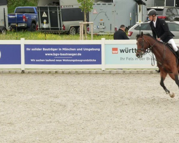 Reitturnier Babenhausen/Schw. 2024