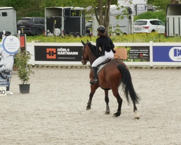 Reitturnier Babenhausen/Schw. 2024
