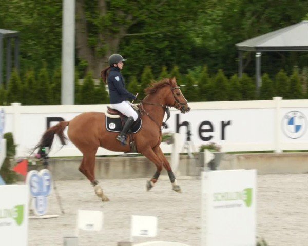 Reitturnier Babenhausen/Schw. 2024