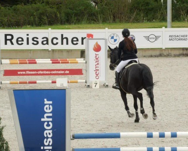 Reitturnier Babenhausen/Schw. 2024