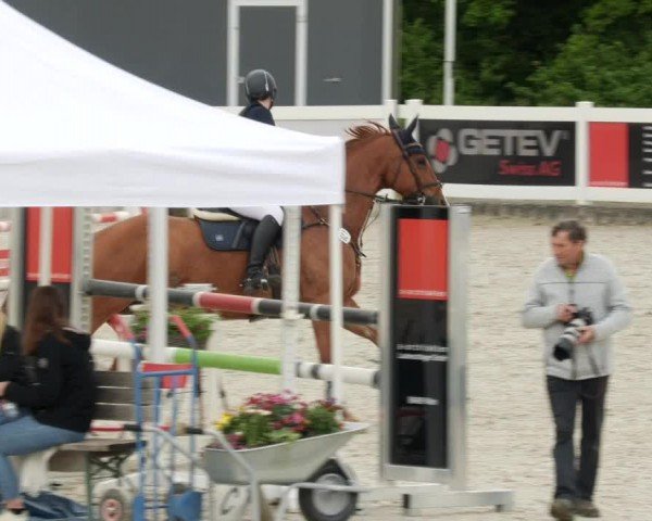 Reitturnier Babenhausen/Schw. 2024