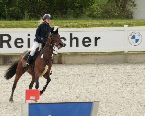 Reitturnier Babenhausen/Schw. 2024