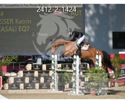 jumper Casali EQ7 (Holsteiner, 2015, from Casall Ask)