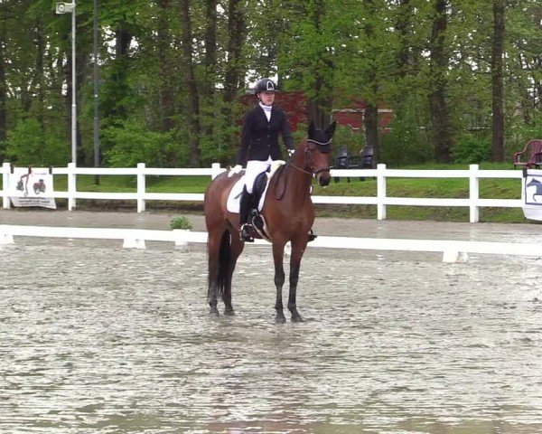 Reitturnier Dressurturnier Mildstedt 2024