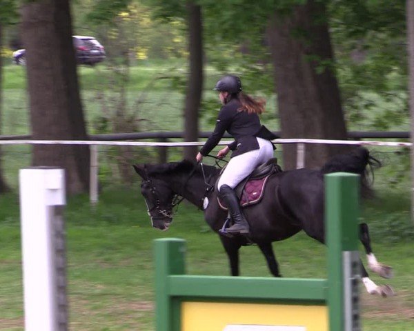 Reitturnier Derenburg 2024