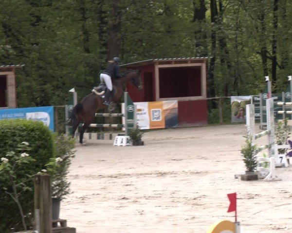 Reitturnier Wuppertal-Gelpe 2024