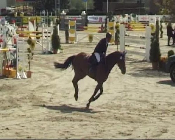 Werne-Lenklarer Reitertage vom 13.-15.+17.-22.04.2012 auf der Reitsportanlage Gripshöver