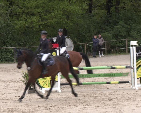 Reitturnier Wuppertal-Gelpe 2024