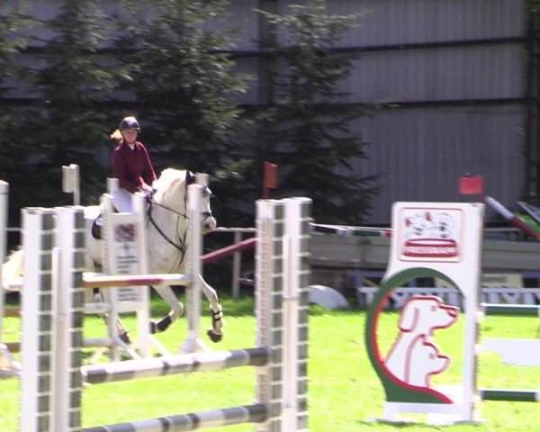 Reitturnier Derenburg 2024