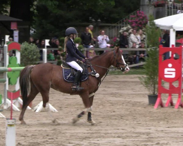 Reitturnier Hildesheim-Steuerwald 2024