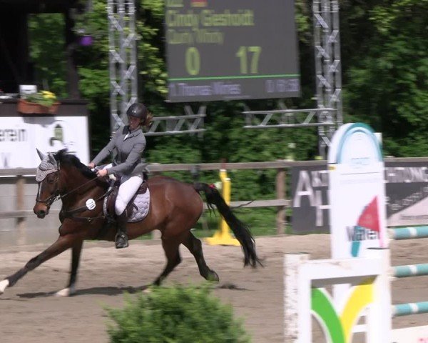 Reitturnier Hildesheim-Steuerwald 2024