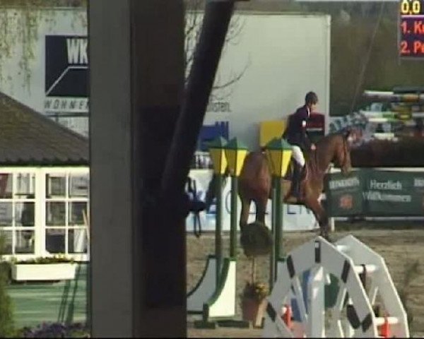 Reitturnier Werne-Lenklar 2012