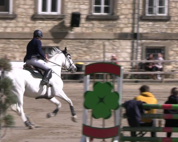 Reitturnier Hildesheim-Steuerwald 2024