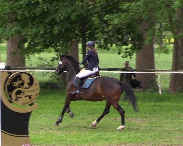 Reitturnier Derenburg 2024