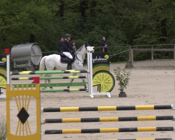 Reitturnier Wuppertal-Gelpe 2024