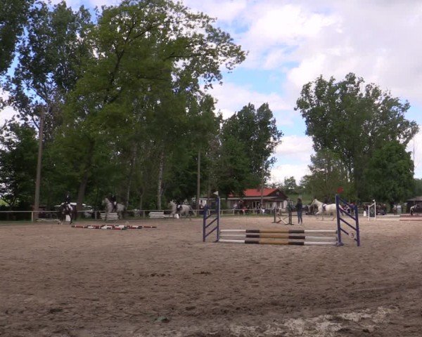 Reitturnier Derenburg 2024