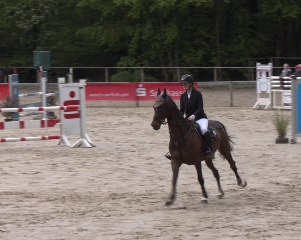 Reitturnier Wuppertal-Gelpe 2024