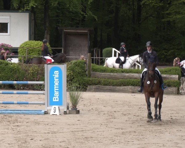 Reitturnier Wuppertal-Gelpe 2024