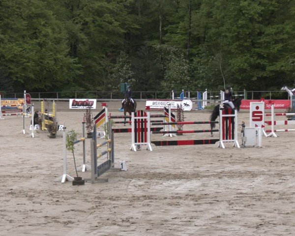 Reitturnier Wuppertal-Gelpe 2024