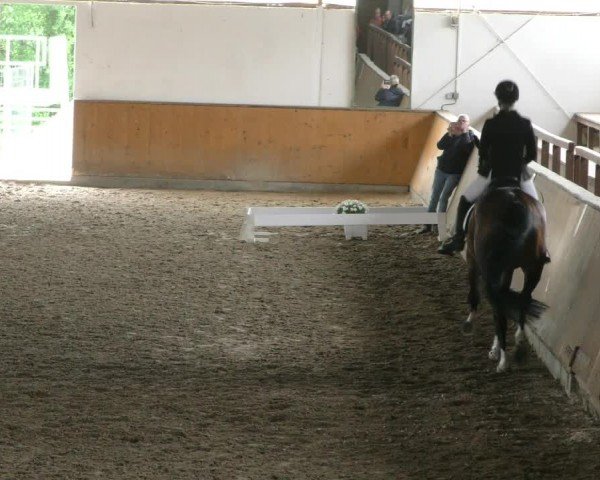 Reitturnier Hildesheim-Steuerwald 2024