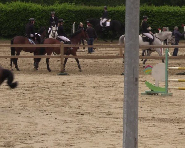 Reitturnier Kamen 2024