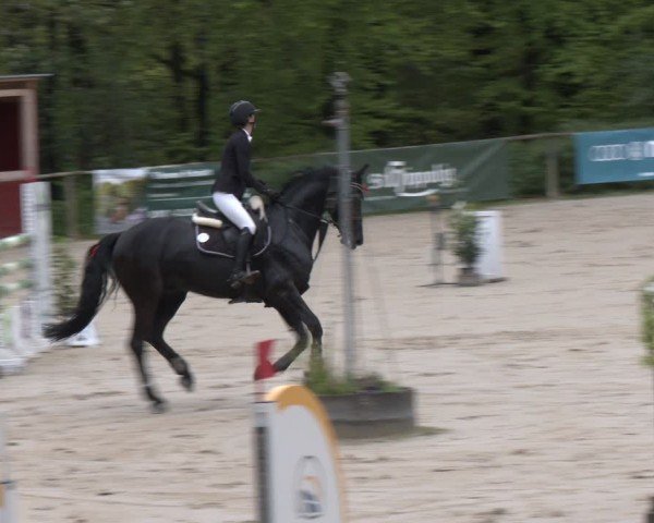 Reitturnier Wuppertal-Gelpe 2024