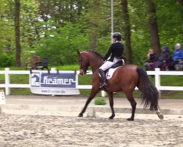 Reitturnier Dressurturnier Mildstedt 2024