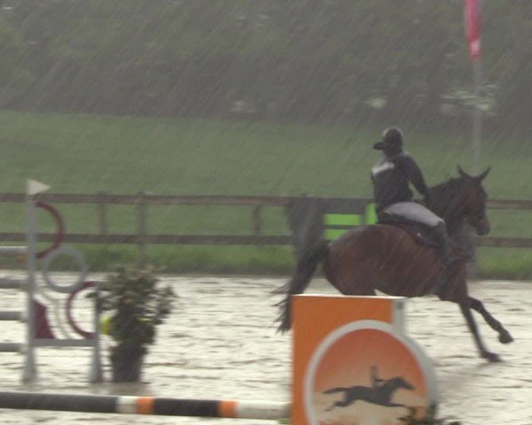 Reitturnier Looperholzer Turniertage 2024