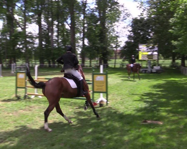 Reitturnier Derenburg 2024