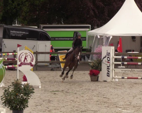Reitturnier Looperholzer Turniertage 2024
