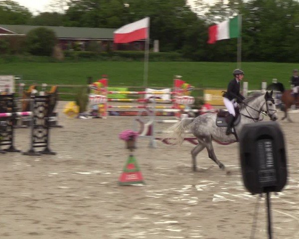 Reitturnier Looperholzer Turniertage 2024