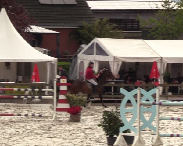 Reitturnier Looperholzer Turniertage 2024